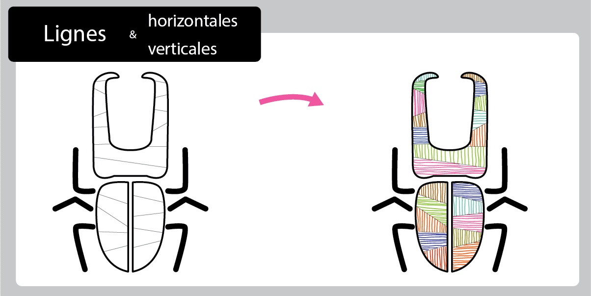 Graphisme les traits horizontaux et verticaux - Décoration : Le sacarabée