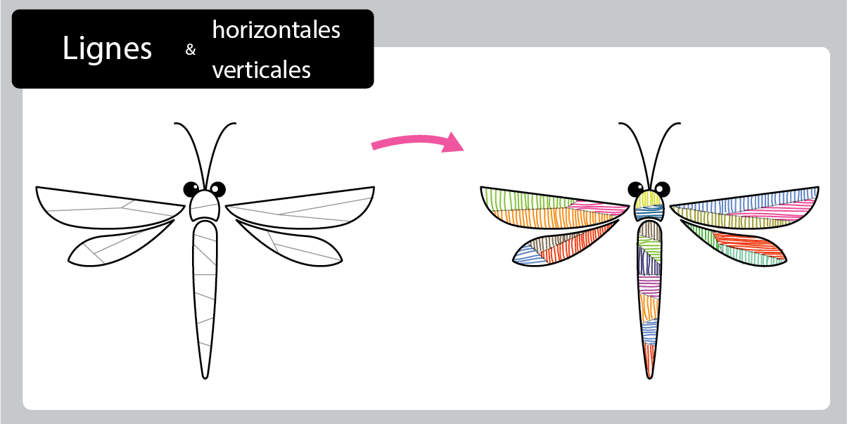 Graphisme les traits horizontaux et verticaux - Décorer la libellule