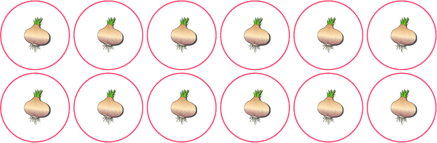 learning-multiplication-with-equal-group_17